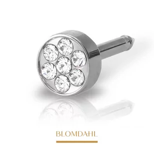 Blomdahl - Kolczyk Brilliance Plenary 5mm 2szt - Piercing - miniaturka - grafika 1