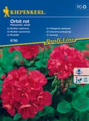 Nasiona i cebule - Pelargonia Rabatowa Orbit Rot F1 - miniaturka - grafika 1