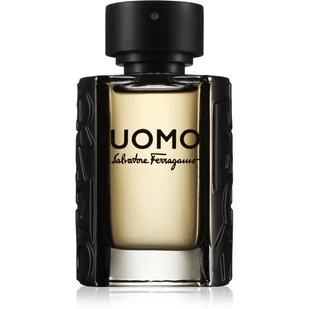 Salvatore Ferragamo Ferragamo Uomo woda toaletowa 50ml - Wody i perfumy męskie - miniaturka - grafika 1