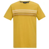 Koszulki sportowe męskie - Koszulka męska Regatta Rendro Rozmiar: 5XL / Kolor: żółty - miniaturka - grafika 1