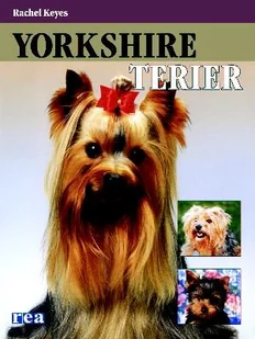 Yorkshire terier - Poradniki hobbystyczne - miniaturka - grafika 1