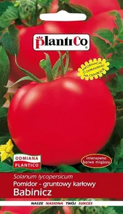 Pomidor gruntowy Babinicz 10 g Plantico POLAN - Nasiona i cebule - miniaturka - grafika 1