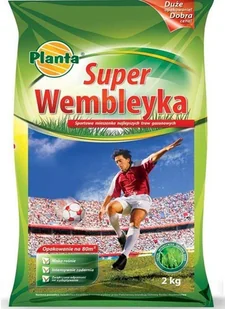 Trawa Super Wembleyka 2 kg PLANTA - Nasiona i cebule - miniaturka - grafika 1