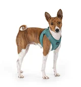 Szelki dla psów - Szelki air comfort XL morski - miniaturka - grafika 1