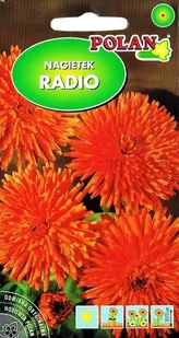 Nagietek Radio pomarańczowy 3 g POLAN - Nasiona i cebule - miniaturka - grafika 1