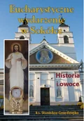 Religia i religioznawstwo - Eucharystyczne wydarzenie w Sokółce - miniaturka - grafika 1