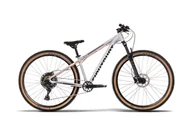 Rowery - Rower górski Eightshot X-COADY 275 Disc / 10 Grey - miniaturka - grafika 1