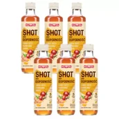 Soki i napoje niegazowane - Polska Róża Shot na odporność Owoc róży, kurkuma, imbir 5 porcji Zestaw 6 x 250 ml - miniaturka - grafika 1