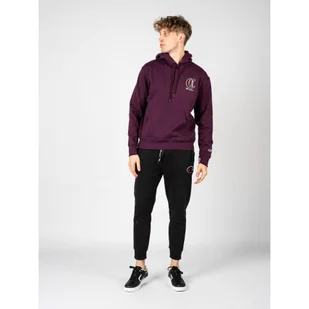 Bluza trekking męska Hoodie - Bluzy sportowe męskie - miniaturka - grafika 1