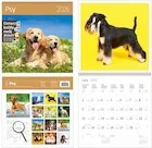 Kalendarze - Kalendarz 2026 ścienny 30x30 Psy HELMA - miniaturka - grafika 1