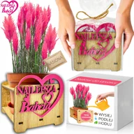 Nasiona i cebule - Prezent na DZIEŃ BABCI Trawa Pampasowa Różowa Zestaw do Uprawy NASIONA - miniaturka - grafika 1