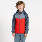 Kurtki i płaszcze dla chłopców - Dare 2b Dziecięca kurtka hybrydowa Explore II Szary, Rozmiar: 164 cm - miniaturka - grafika 1