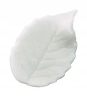 Dodatki do ciast w proszku - OZDOBNE LIŚCIE CUKROWE 3 cm białe 10szt - miniaturka - grafika 1