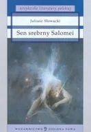 Dramaty - Sen srebrny Salomei - miniaturka - grafika 1