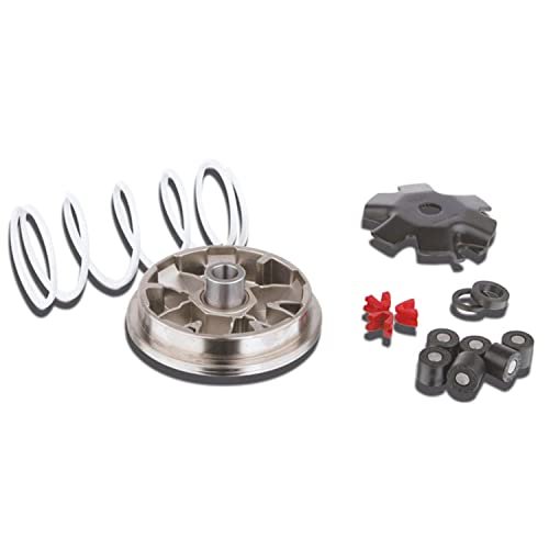 Variomatik MALOSSI Multivar SYM RS Shark 50 Typ: BS05W