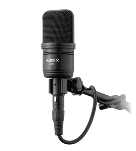 Audix A 131 - mikrofon  ♦ 30 DNI NA ZWROT ♦ GWARANCJA DOOR-TO-DOOR ♦ SZYBKA WYSYŁKA - Mikrofony estradowe - miniaturka - grafika 1