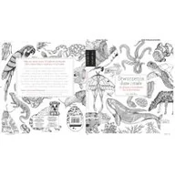 Poradniki hobbystyczne - Arkady Stworzenia duże i małe - Davies Valerie - miniaturka - grafika 1