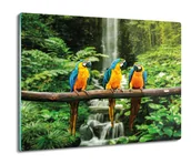 Deski do krojenia - szklana osłonka z foto Papugi ARA wodospad 60x52, ArtprintCave - miniaturka - grafika 1