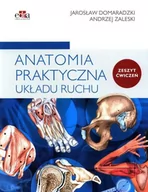 Książki medyczne - Edra Urban & Partner Anatomia praktyczna układu ruchu. Ćwiczenia - miniaturka - grafika 1