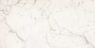 Gres Graniti White Mat Rect 119,8X59,8 Arte - Płytki ceramiczne - miniaturka - grafika 2