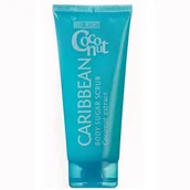 Peelingi do ciała - Body Resort Blue cukrowy peeling do ciała z ekstraktem z kokosa 250g - miniaturka - grafika 1