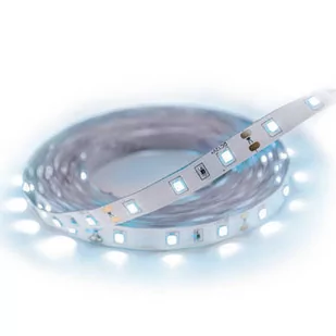 IDEUS Taśma LED LATE LED 3M 180 CW IP65 6500K IDEUS 0254 03025 - Taśmy LED - miniaturka - grafika 1
