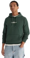 Bluzy męskie - bluza męska QUIKSILVER SCREEN FLEECE FINELINE HOODIE TREKKING GREEN - miniaturka - grafika 1