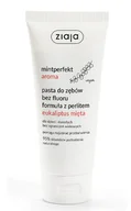Pasty do zębów - Ziaja Mintperfect Aroma Eucalyptus & Mint pasta do zębów 100 ml unisex - miniaturka - grafika 1