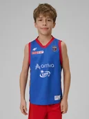 Koszulki dla chłopców - 4F Koszulka meczowa replika domowa z sezonu 2025/26 dziecięca 4F x Twarde Pierniki - granatowa 98/104 - miniaturka - grafika 1