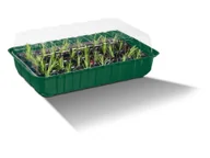 Pozostałe akcesoria do uprawy roślin - PARKSIDE® Zestaw 4 miniszklarni - miniaturka - grafika 1