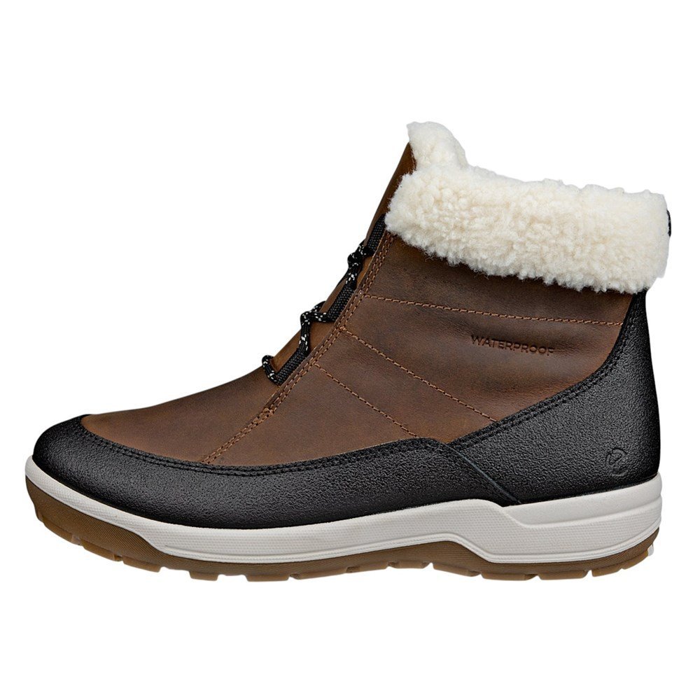 Buty Ecco 832222350107