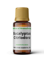 Aromaterapia - Olejek eteryczny EUKALIPTUS CYTRYNOWY Eukalyptus Citriodora - bóle zatok, opryszczka - miniaturka - grafika 1