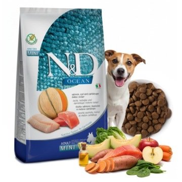 Farmina N&D Ocean Dog Adult Mini cod pumpkin & cantaloupe melon 0,8 kg