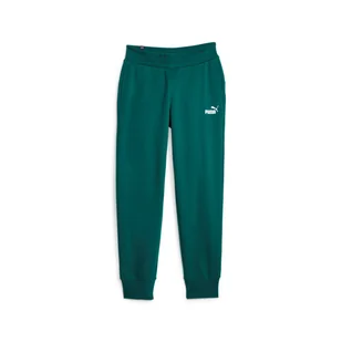 Spodnie dresowe damskie Puma ESS FL zielone 58684143-XL - Dresy damskie - miniaturka - grafika 1