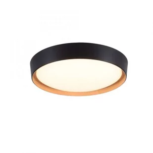 Lampa sufitowa LED 29W EMILIA 14347-18 Paul Neuhaus - Lampy sufitowe - miniaturka - grafika 1