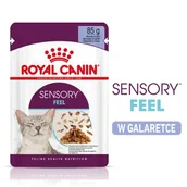 Mokra karma dla kotów - ROYAL CANIN SENSORY Feel Karma mokra w galaretce dla wybrednych kotów 12x85g - miniaturka - grafika 1