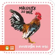 Literatura popularno naukowa dla młodzieży - Maluszek już wie Zwierzęta na wsi - miniaturka - grafika 1