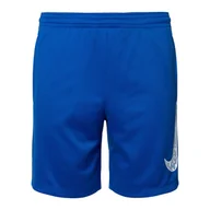 Odzież sportowa dziecięca - Spodenki dziecięce Nike Trophy 23 Dri-Fit - miniaturka - grafika 1