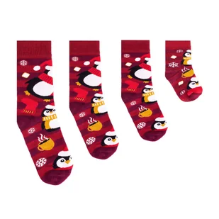 Skarpetki Kraina pingwinów dla całej rodziny 20-25 - Moda i Uroda OUTLET - miniaturka - grafika 1