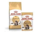 Mokra karma dla kotów - Royal Canin Maine Coon Adult 31 drób 10 kg - miniaturka - grafika 1