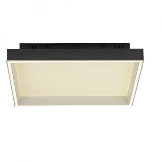 Lampa sufitowa Paul Neuhaus Lampa Sufitowa LED Q-Magong 6316-18 Paul Neuhaus