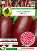 Nasiona i cebule - Burak Ćwikłowy Opolski 100z OT. - miniaturka - grafika 1