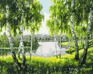 Malowanie po numerach - Artnapi 40x50cm Zestaw Do Malowania Po Numerach - Brzozy z dzieciństwa - Na Drewnianej Ramie - miniaturka - grafika 1