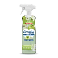 Środki do kuchni i łazienki - Coccolatevi Bloomalcool Verde Jabłko 750 ml — spray uniwersalny, świeży zapach - miniaturka - grafika 1