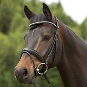 Ogłowia - KIEFFER Ogłowie rurkowe z nachrapnikiem angielskim kombinowanym SYLVIE - miniaturka - grafika 1