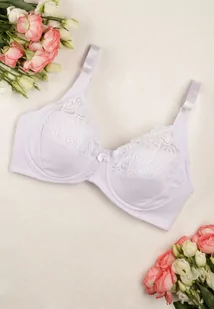 Biały Klasyczny Biustonosz z Koronkowymi Wstawkami Alinva - Biustonosze - miniaturka - grafika 1