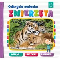 Odkrycia malucha Zwierzęta Oglądaj nazywaj poznawaj - Książki edukacyjne - miniaturka - grafika 1