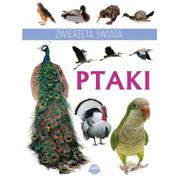Books Zwierzęta świata Ptaki / wysyłka w 24h od 3,99