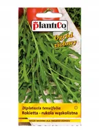 Nasiona i cebule - Plantico Rokietta siewna - miniaturka - grafika 1