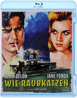 Filmy akcji Blu-Ray - Koty - miniaturka - grafika 1